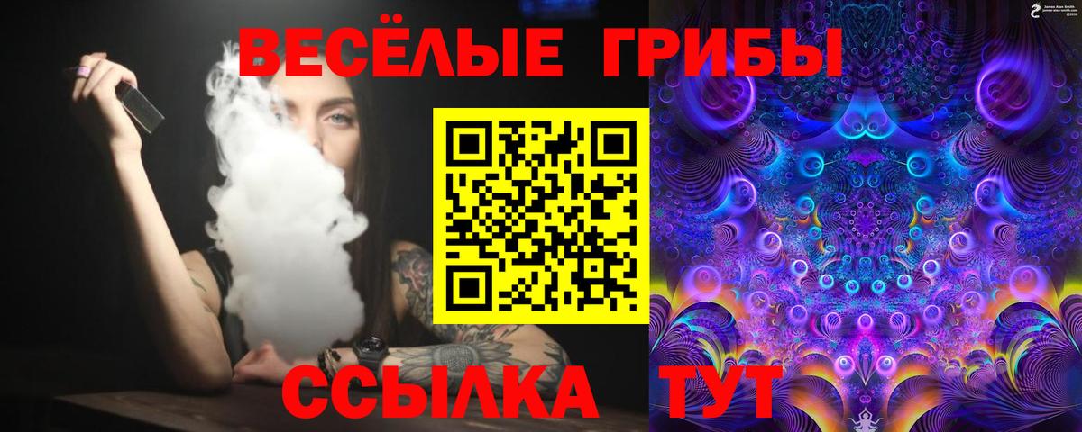 Дзержинский  Псилоцибиновые грибы Psilocybine cubensis  Галлюциногенные грибы Psilocybine cubensis  Вход с VPN 