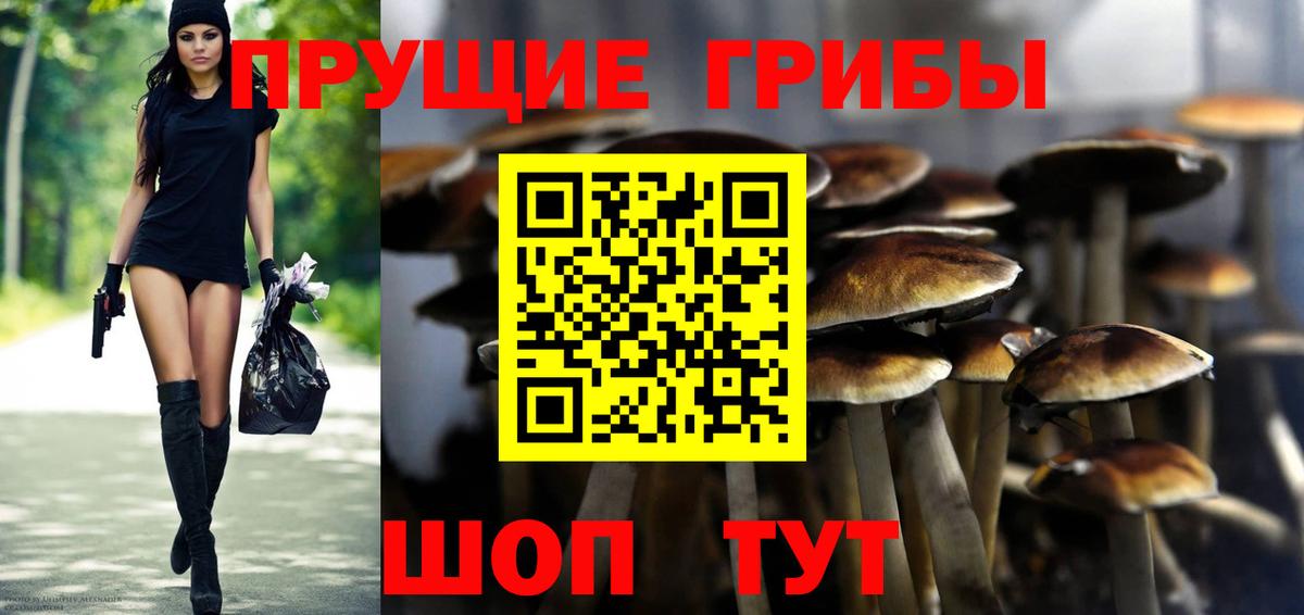 Галлюциногенные грибы Magic Shrooms Дзержинский